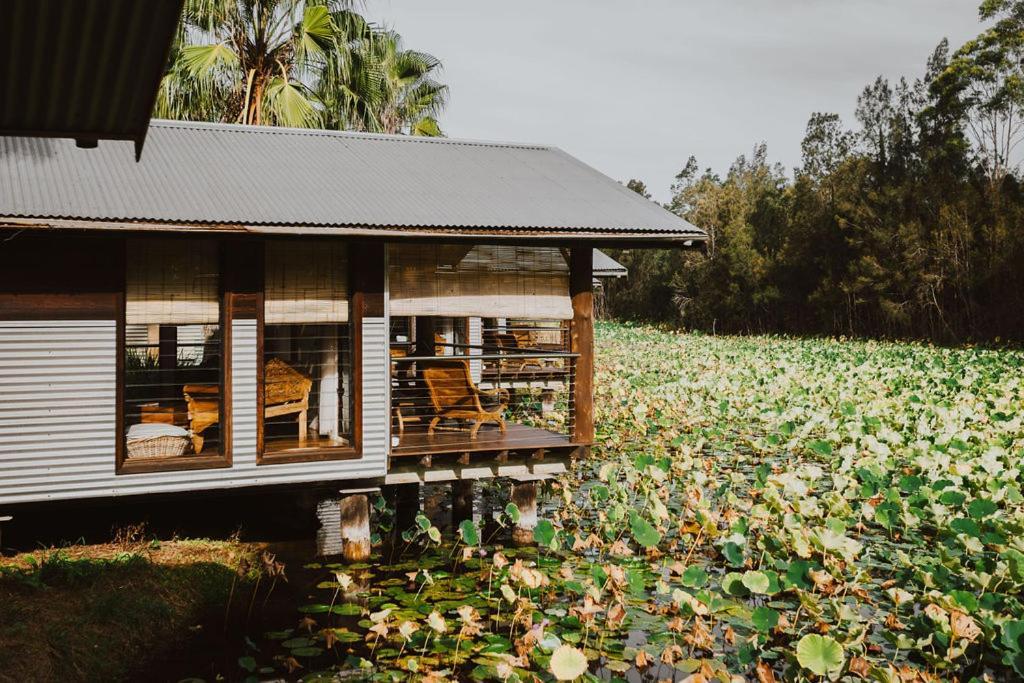 The Boathouses At Leaves & Fishes Lovedale Kültér fotó