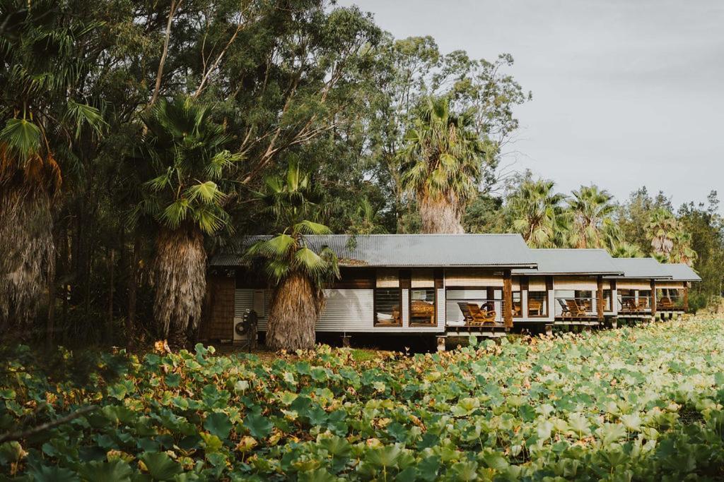 The Boathouses At Leaves & Fishes Lovedale Kültér fotó